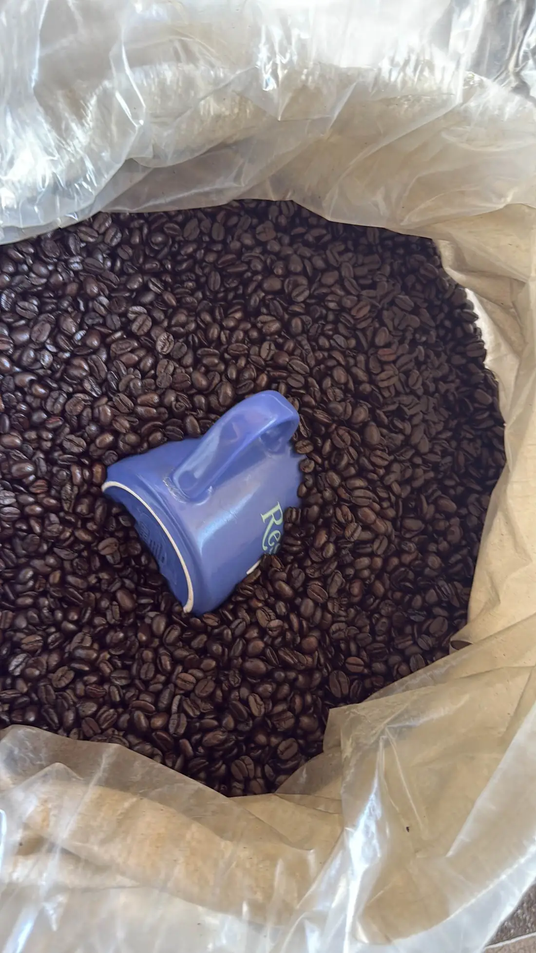 Roasted whole beans in a lined bag, with a scoop resting in them