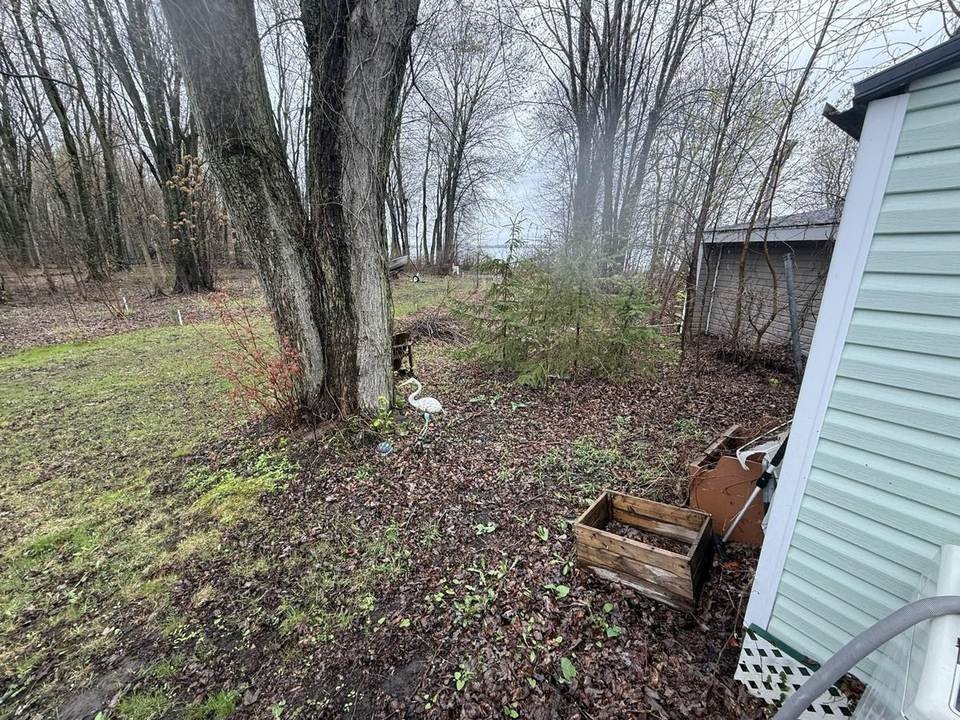 Yard cleanup — before