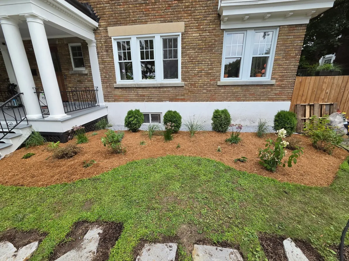 New lawn and planted shrubs along a brick house with white columns