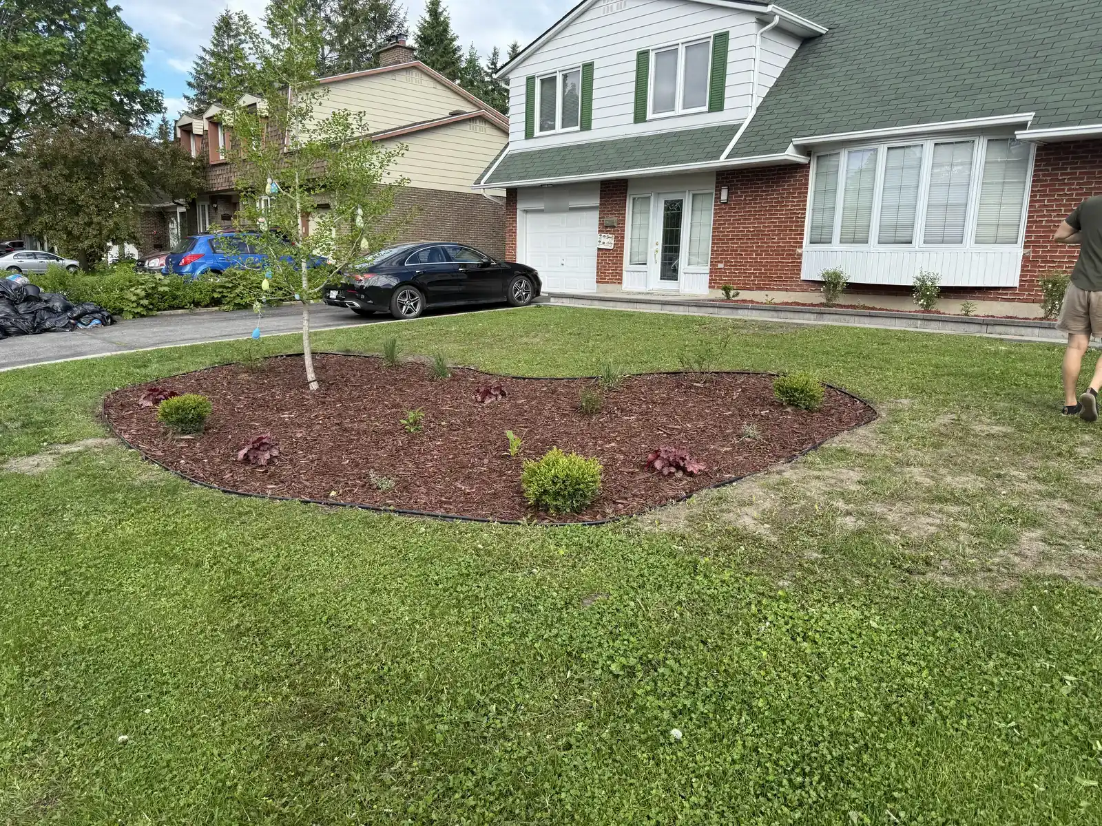 Front lawn with a new mulched garden bed and a young tree in front of a brick house