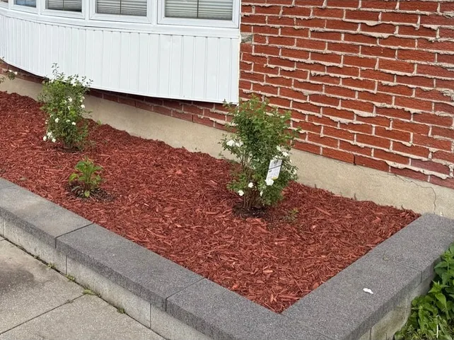 Foundation bed along a brick wall and bay window — after