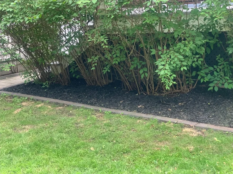 Bed under a hedge with a stone border — after