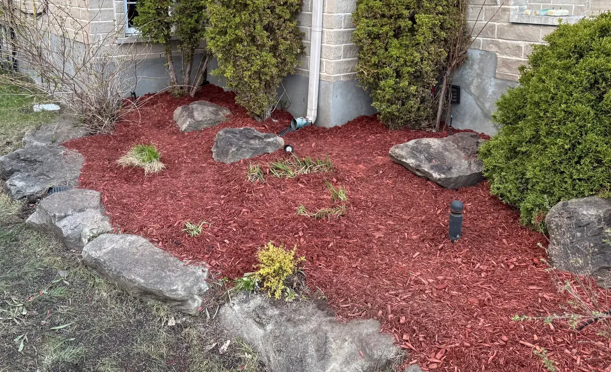 Stone-edged garden bed with red mulch and shrubs against a brick wall